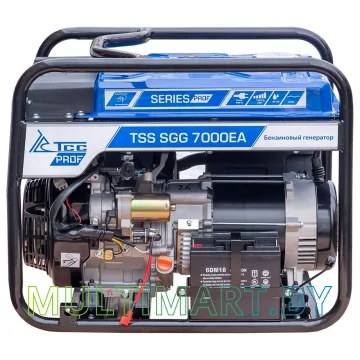 Бензиновый генератор ТСС SGG 7000E3A картинка 3